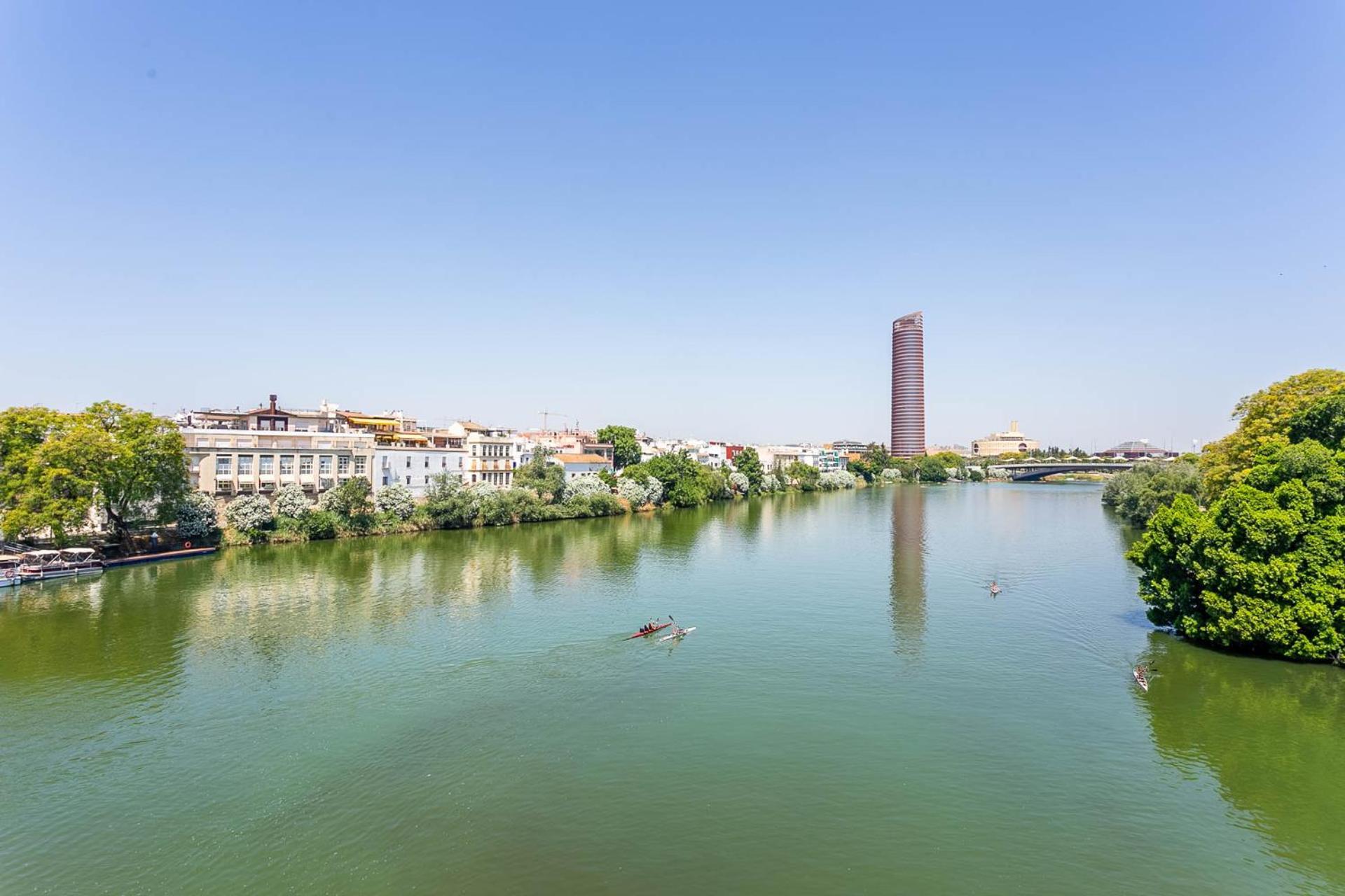 Sunterrace Loft-triana's Star, 10' From Center! Apartment